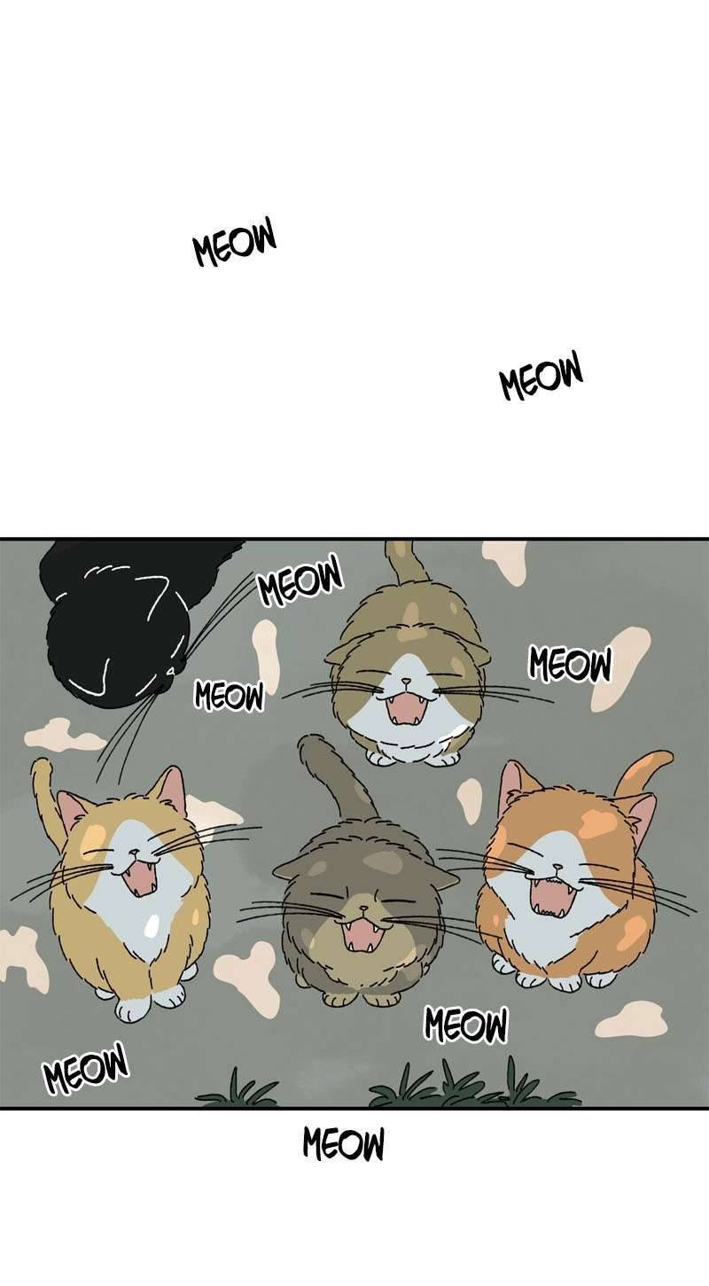 Chú Mèo Tata Chapter 1 - Trang 3