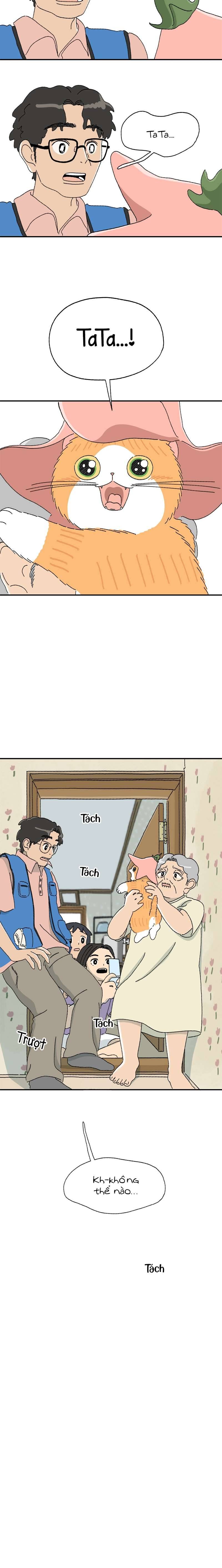 Chú Mèo Tata Chapter 5 - Trang 3