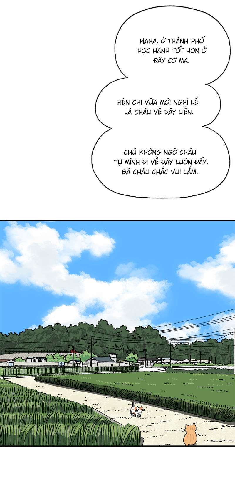 Chú Mèo Tata Chapter 1 - Trang 3
