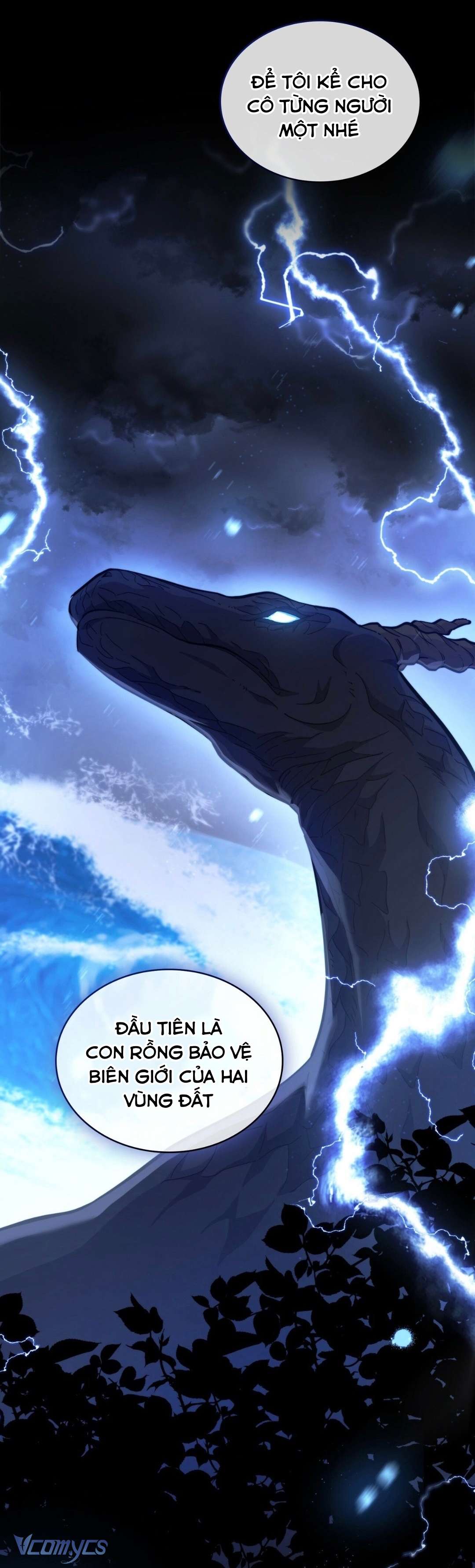 Hôn Nhân Giả Dối Chap 20 - Trang 3