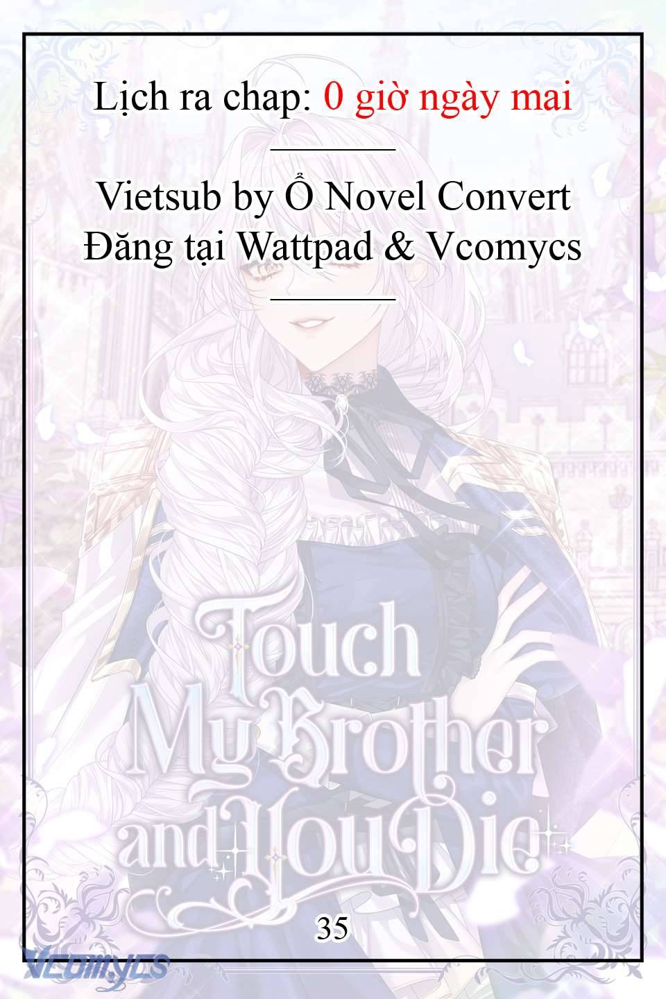 [Novel] Động Vào Em Trai Tôi Xem, Các Người Chết Chắc Chap 5 - Trang 2