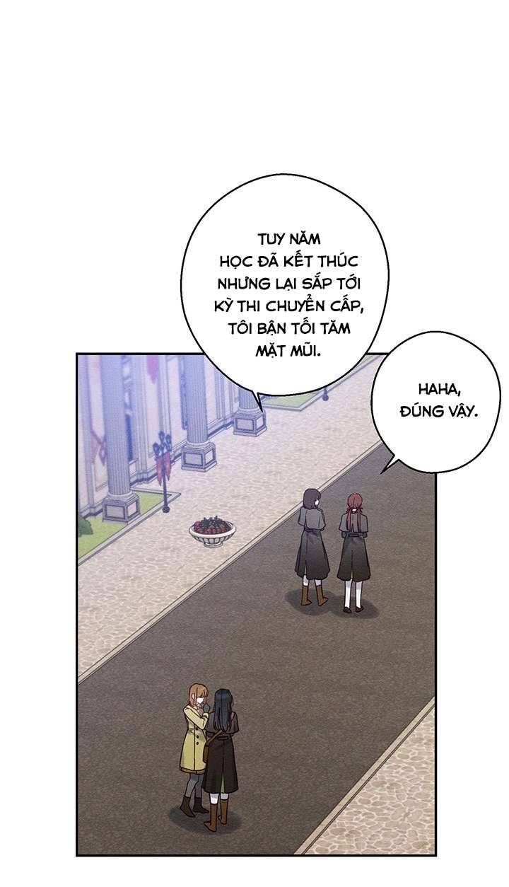Trước Tiên Phải Giấu Em Trai Cái Đã! Chap 20 - Trang 2