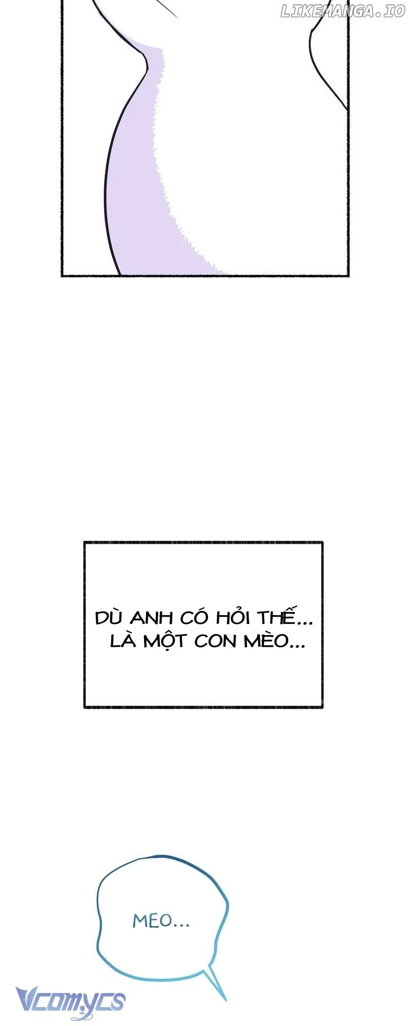 Trở Thành Chú Mèo Ngủ Cùng Bạo Chúa Chapter 4 - Trang 3