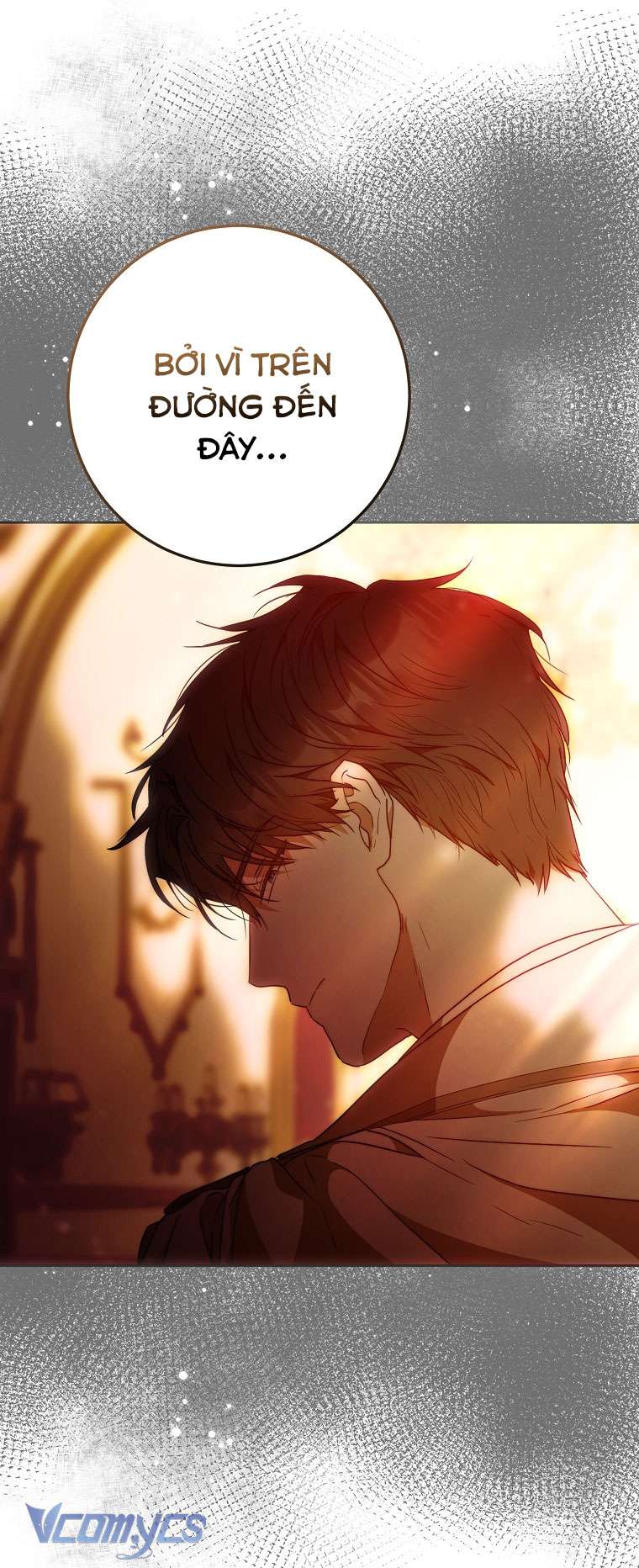 Tôi Trở Thành Vợ Của Nam Chính Chap 90 - Trang 3