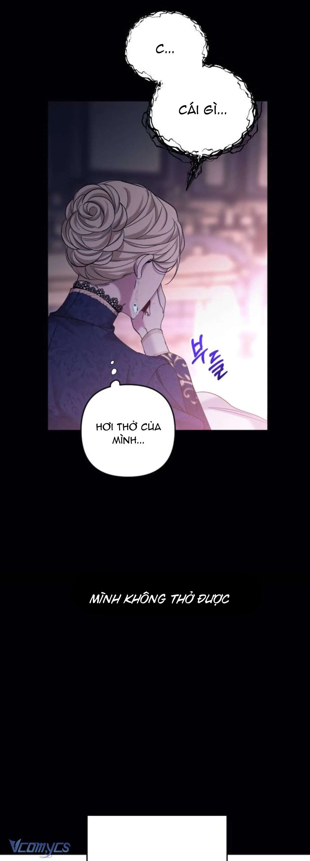 Hôn Nhân Liên Minh Để Trả Thù Chap 1 - Trang 2