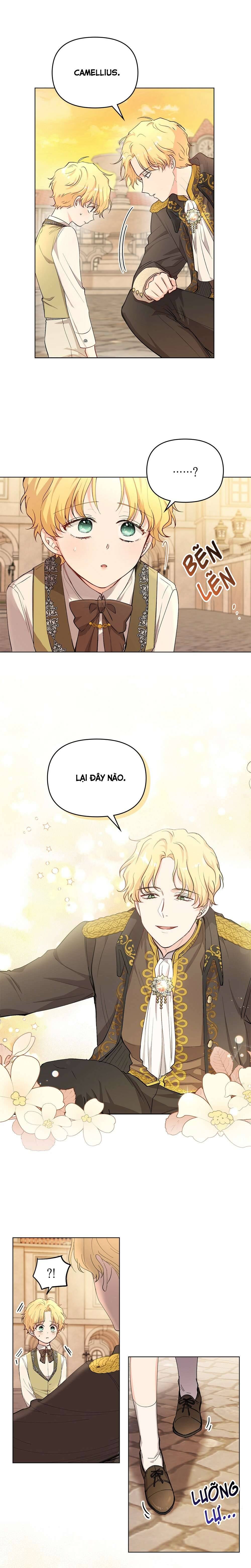 Tìm Lại Camellia Chapter 5 - Trang 4