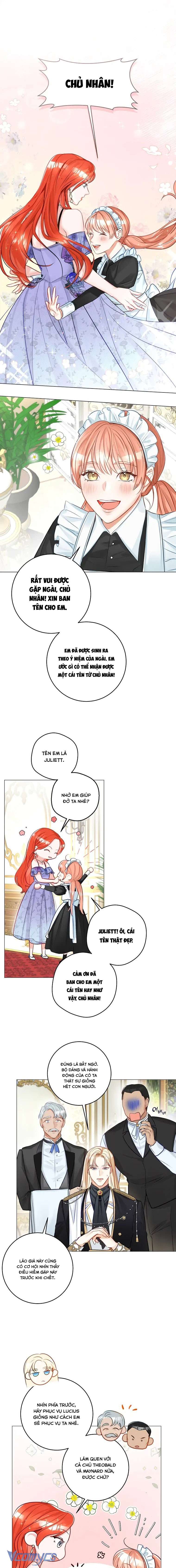 Cuộc Hôn Nhân Xa Hoa Của Đại Công Tước Là Giả Chapter 14 - Next Chapter 15