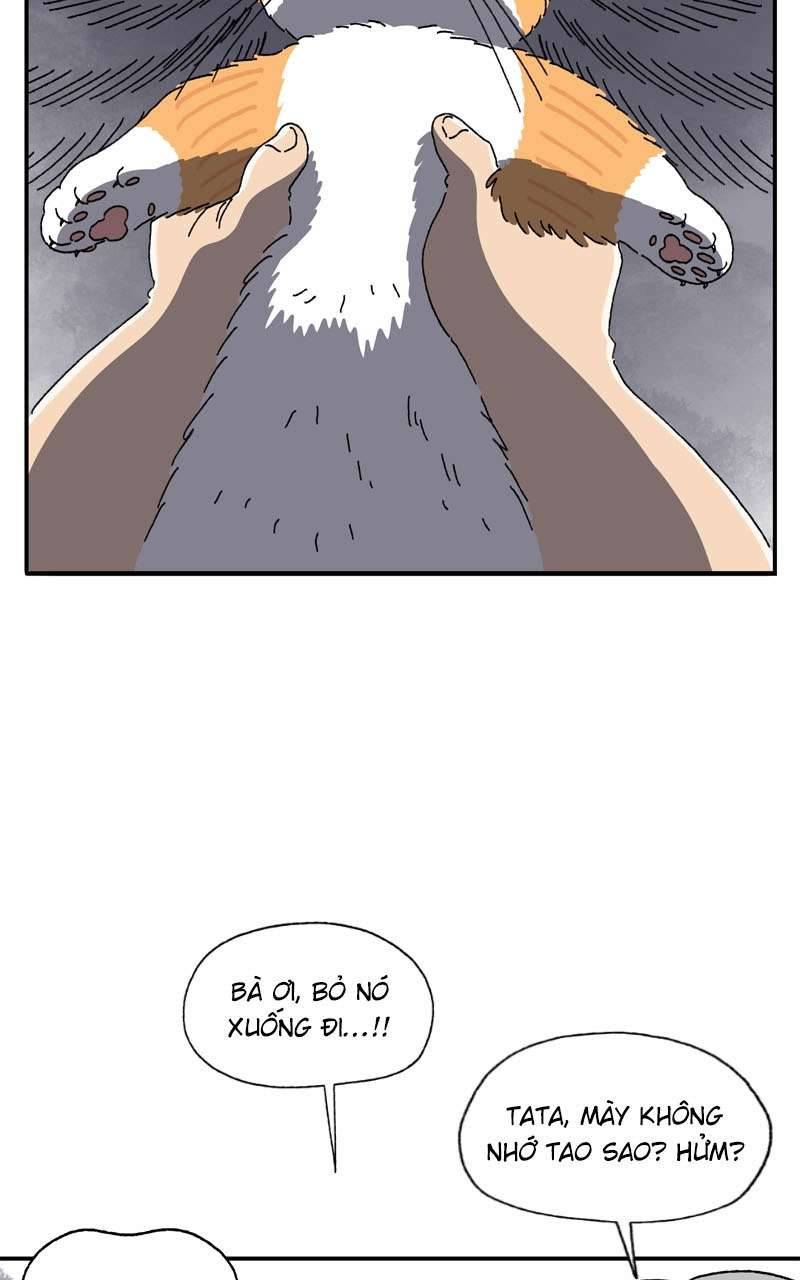 Chú Mèo Tata Chapter 3 - Trang 3