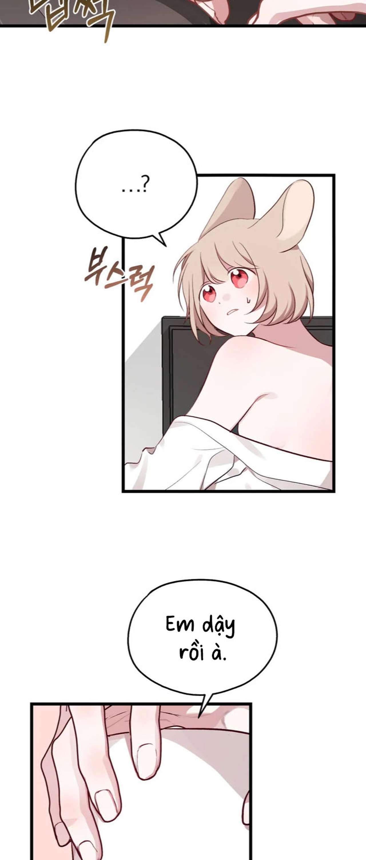 [ 18+ ] Rắn và thỏ có thể kết hôn không? Chap 4 - Trang 2