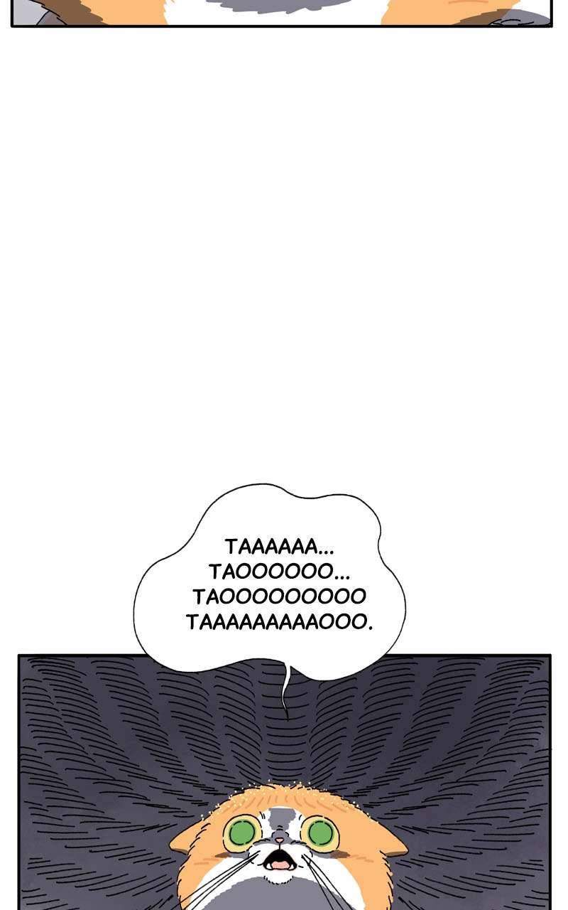 Chú Mèo Tata Chapter 3 - Trang 3