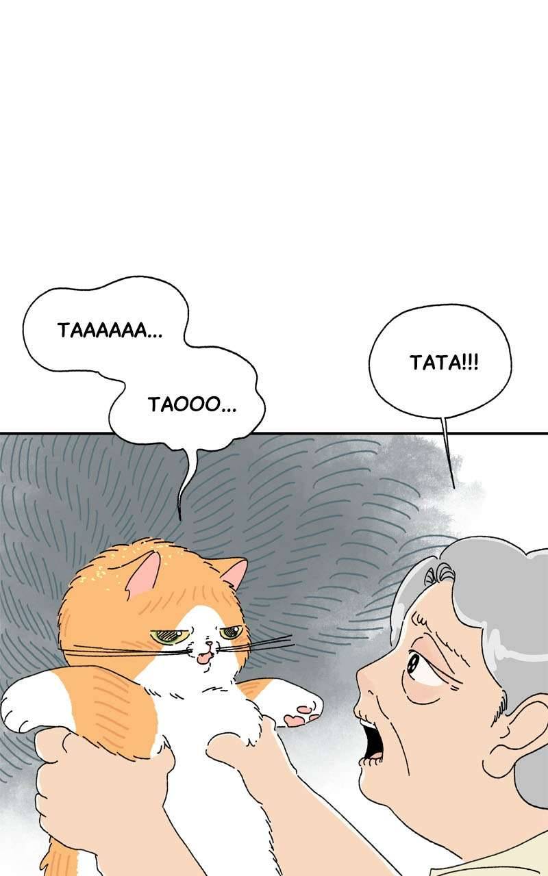 Chú Mèo Tata Chapter 3 - Trang 3