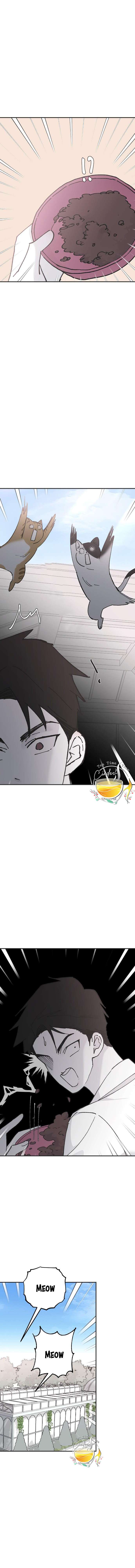 Ba Anh Trai Cực Phẩm Của Tôi Chap 24 - Trang 3