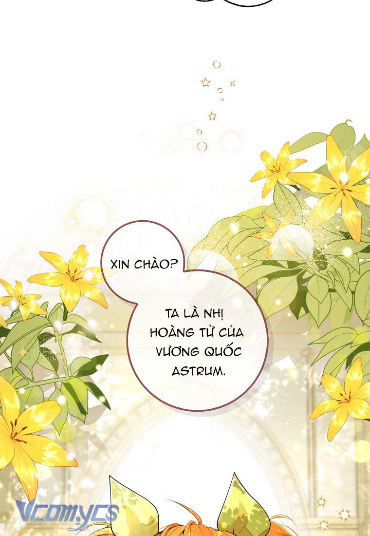 Sóc Con Tài Năng Chap 1 - Trang 2
