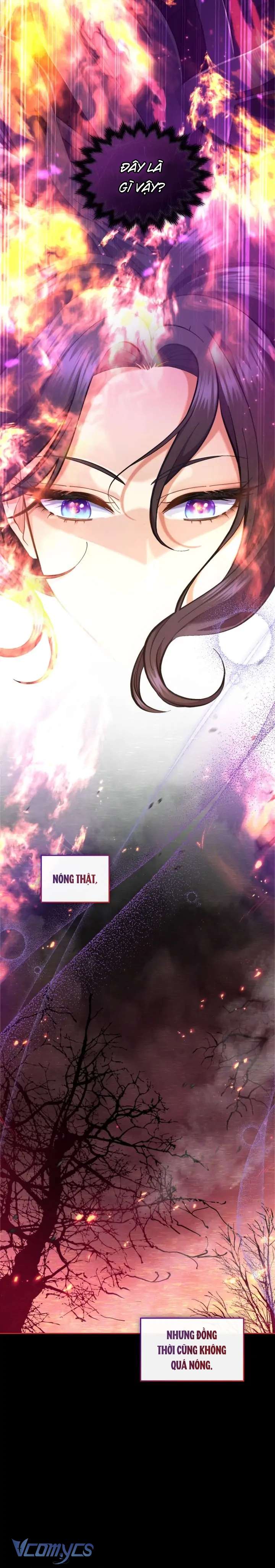 Hôn Nhân Giả Dối Chap 27 - Trang 3