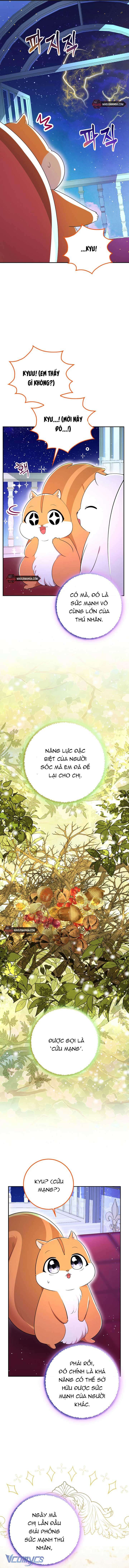 Sóc Con Tài Năng Chap 74 - Next Chap 75