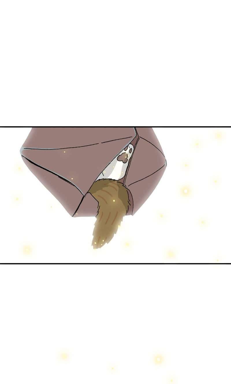 Chú Mèo Tata Chapter 1 - Trang 3