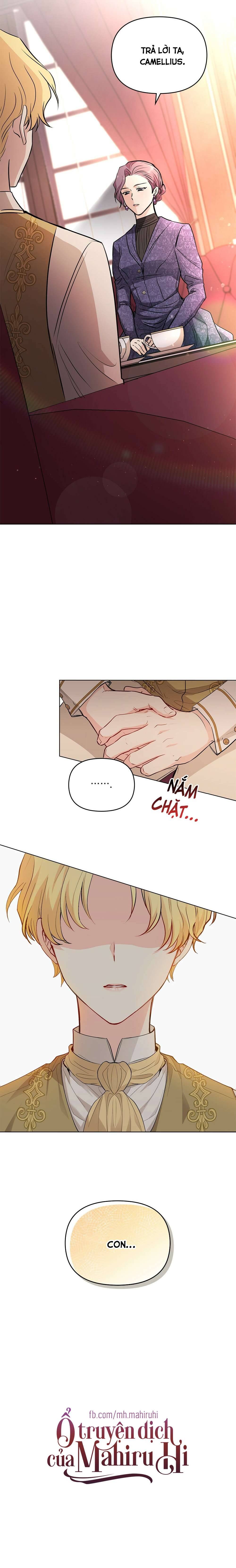 Tìm Lại Camellia Chapter 20 - Trang 4