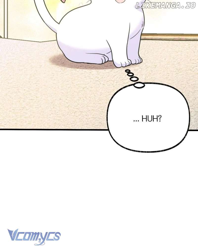 Trở Thành Chú Mèo Ngủ Cùng Bạo Chúa Chapter 3 - Trang 3