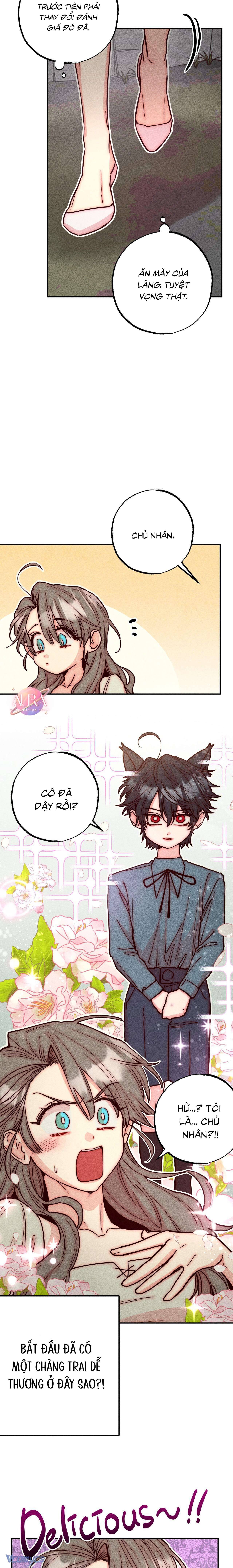Thu Thập Đêm Đầu Tiên Của Các Nam Chính Chapter 2 - Trang 4