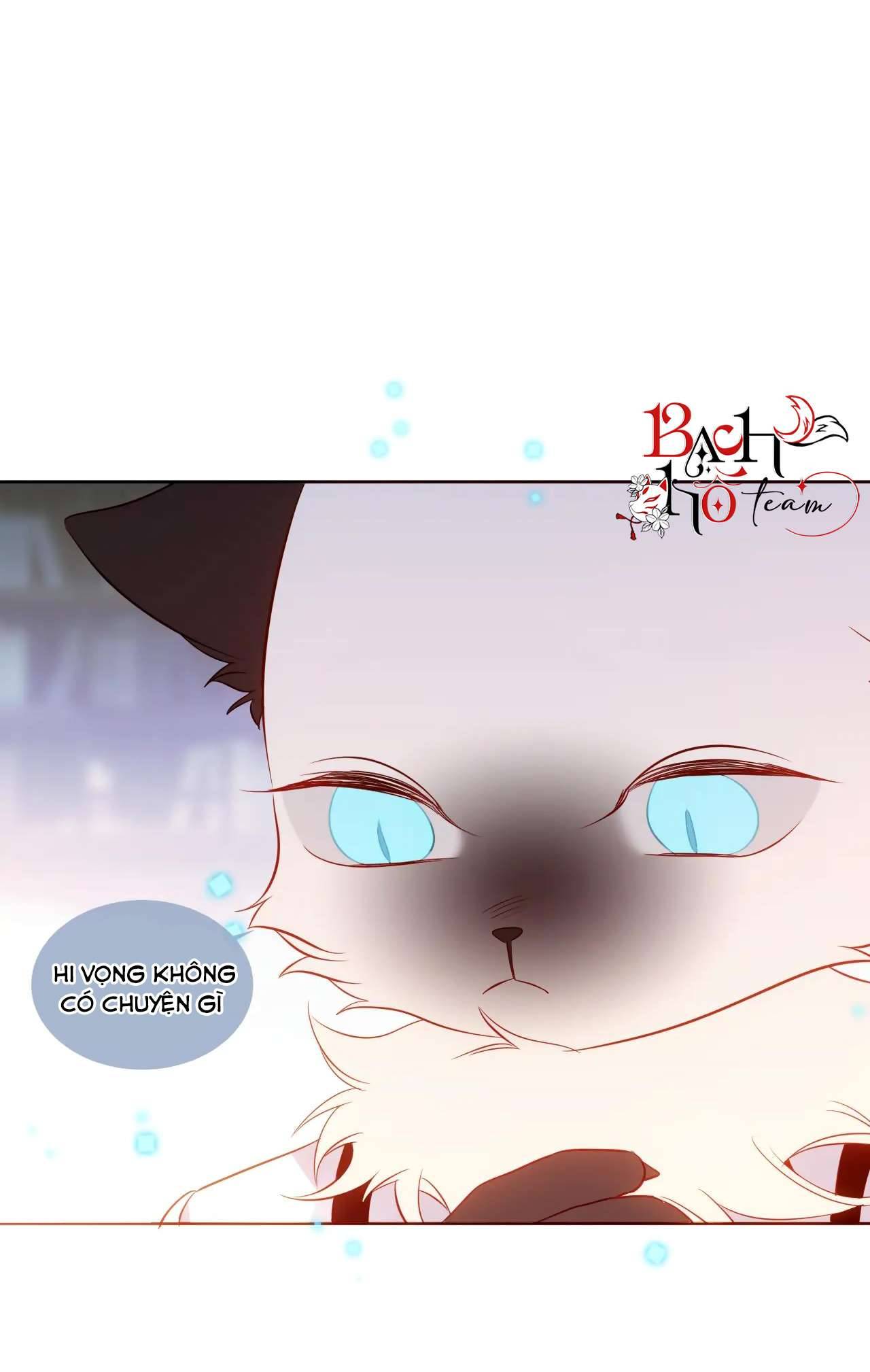 Quán Kịch Bản Trần Mộng Chapter 61 - Trang 3