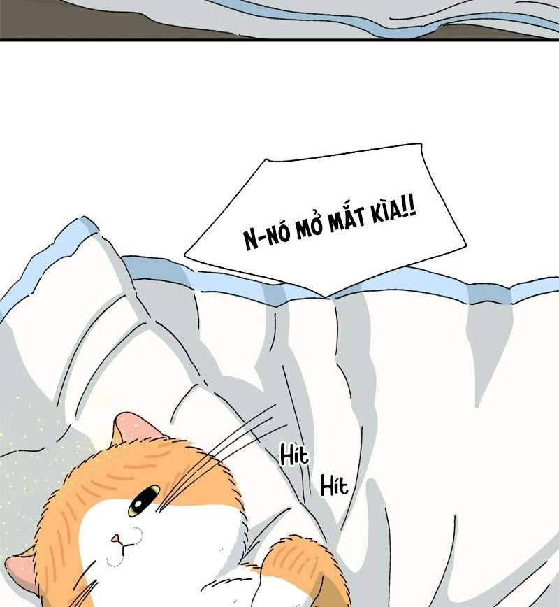 Chú Mèo Tata Chapter 2 - Trang 3