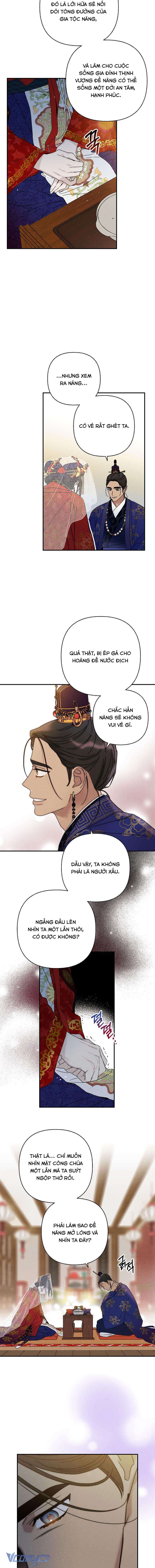 Quốc Hôn Chapter 24 - Trang 4