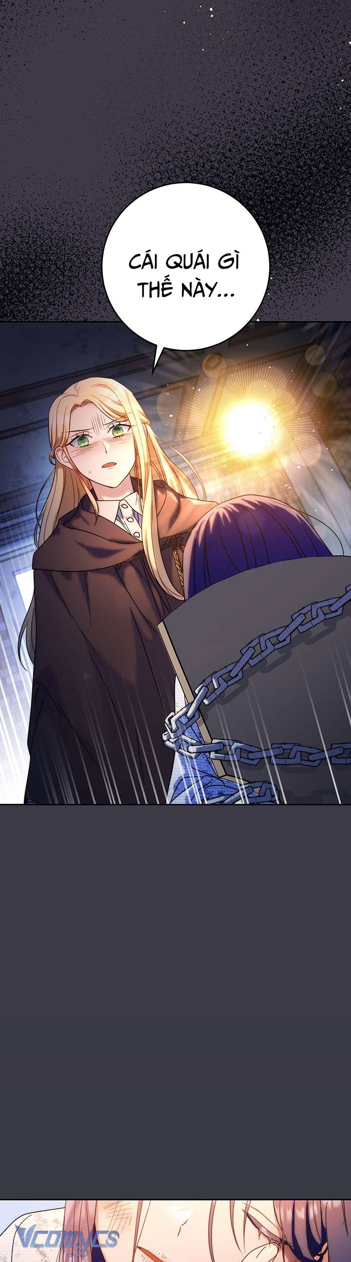 Tôi Đã Nuôi Dạy Em Gái Mình Một Cách Hoàn Hảo Chapter 4 - Trang 4