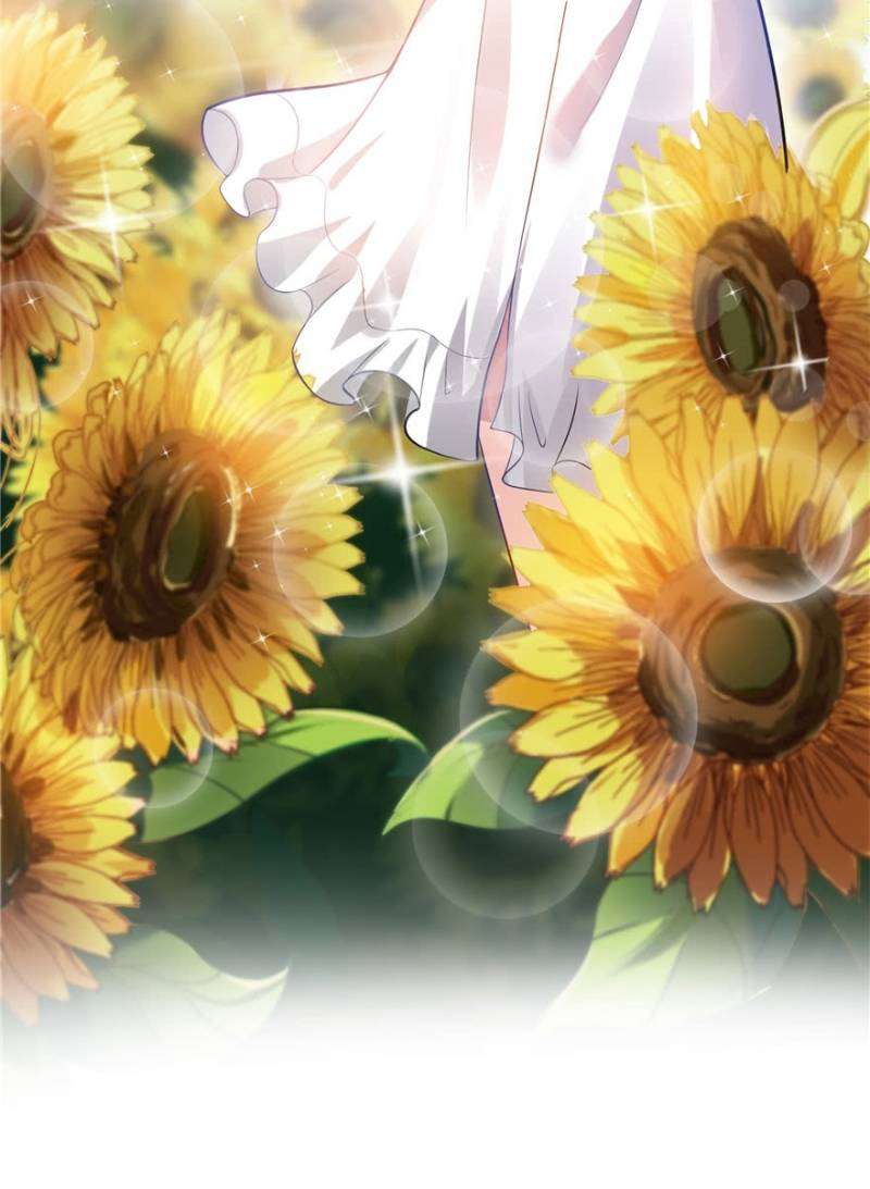 Hệt Như Hàn Quang Gặp Nắng Gắt Chap 6 - Trang 4