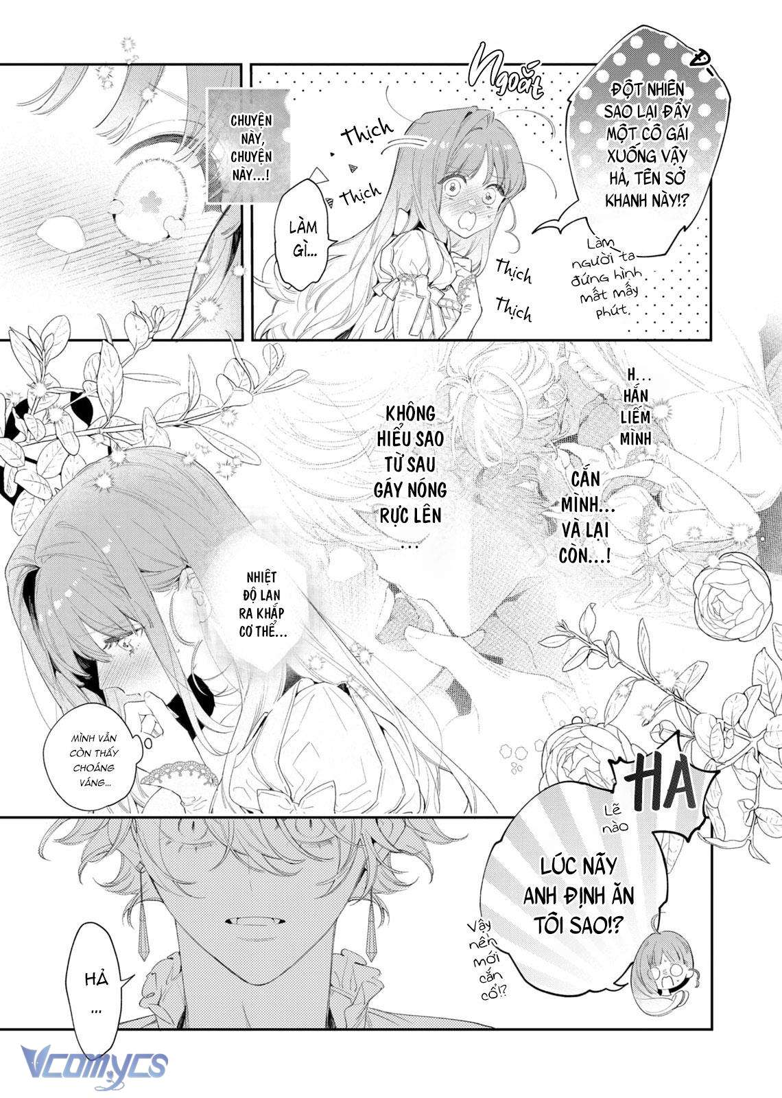 Hoa Hồng Ẩn Giấu Sao Băng Chapter 3 - Trang 4