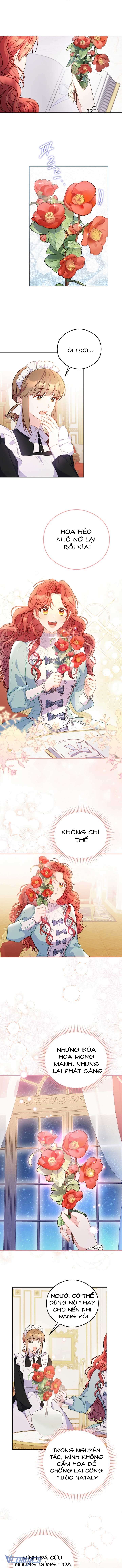 Ác Nữ Si Mê Đại Công Tước Chap 6 - Trang 3