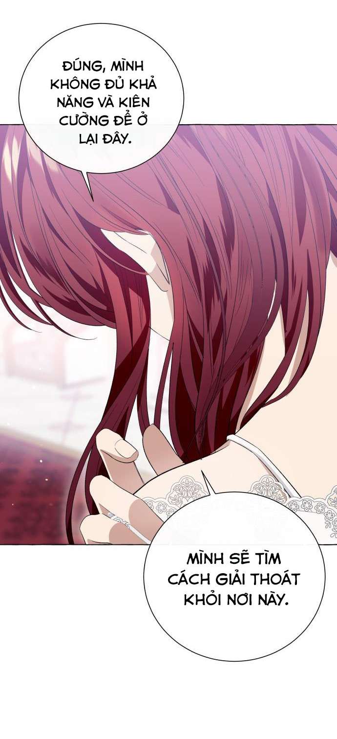Tôi Tưởng Đó Chỉ Là Tiểu Thuyết Trọng Sinh Bình Thường Chapter 11 - Trang 4