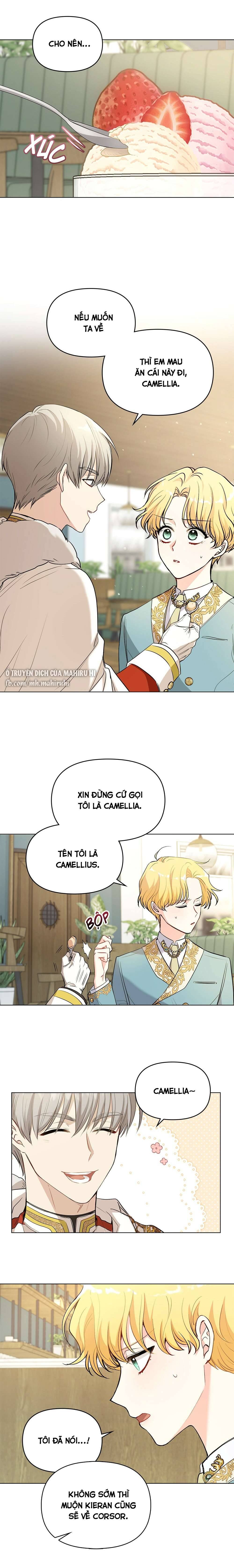 Tìm Lại Camellia Chapter 17 - Trang 4
