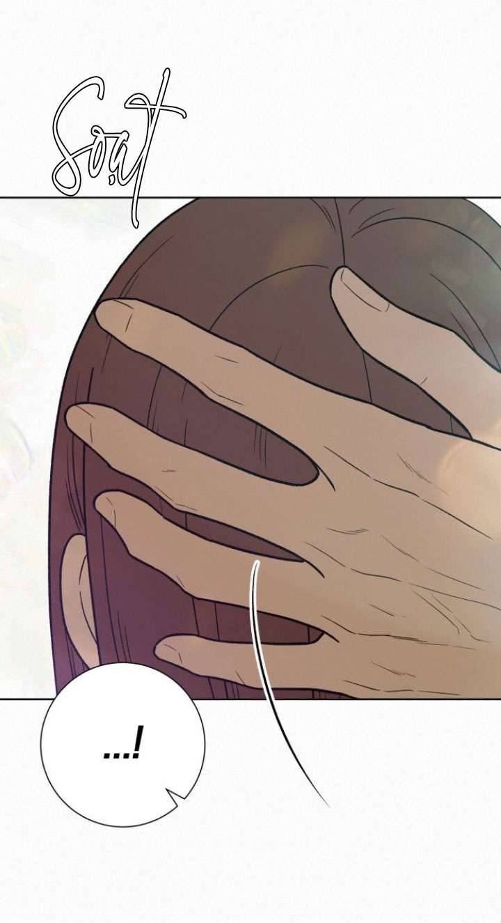 Chiến Lược: Tình Yêu Trong Sáng Chap 88 - Trang 2