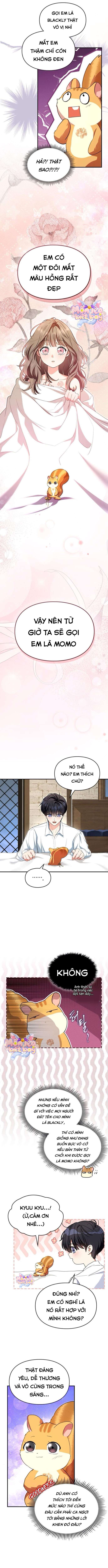 [END SS1] Trở Thành Sóc Nhỏ Của Kẻ Phản Diện Chap 8 - Trang 2