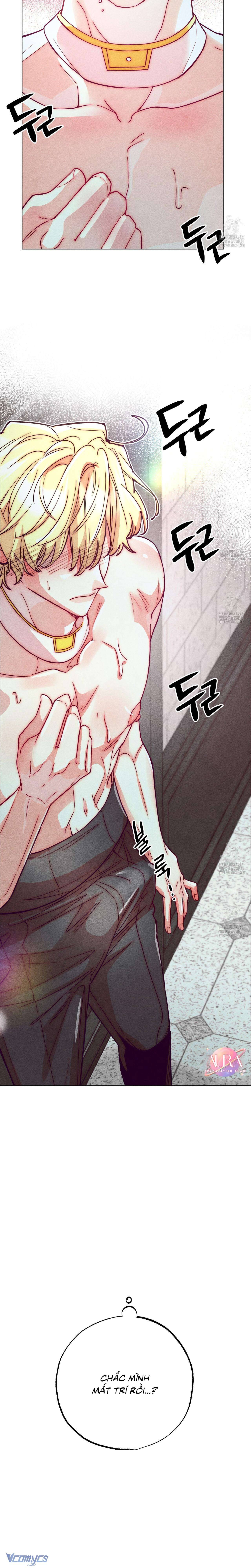 Thu Thập Đêm Đầu Tiên Của Các Nam Chính Chap 11 - Trang 2