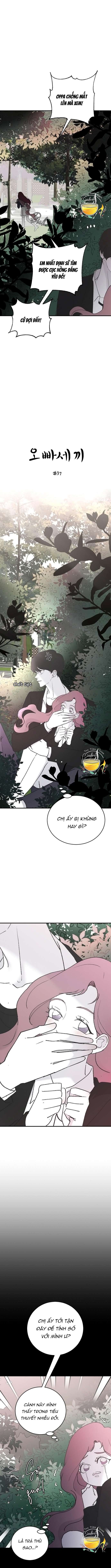 Ba Anh Trai Cực Phẩm Của Tôi Chap 37 - Trang 3