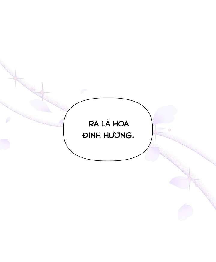 Tôi Không Phải Là Cinderella Chapter 67 - Trang 4