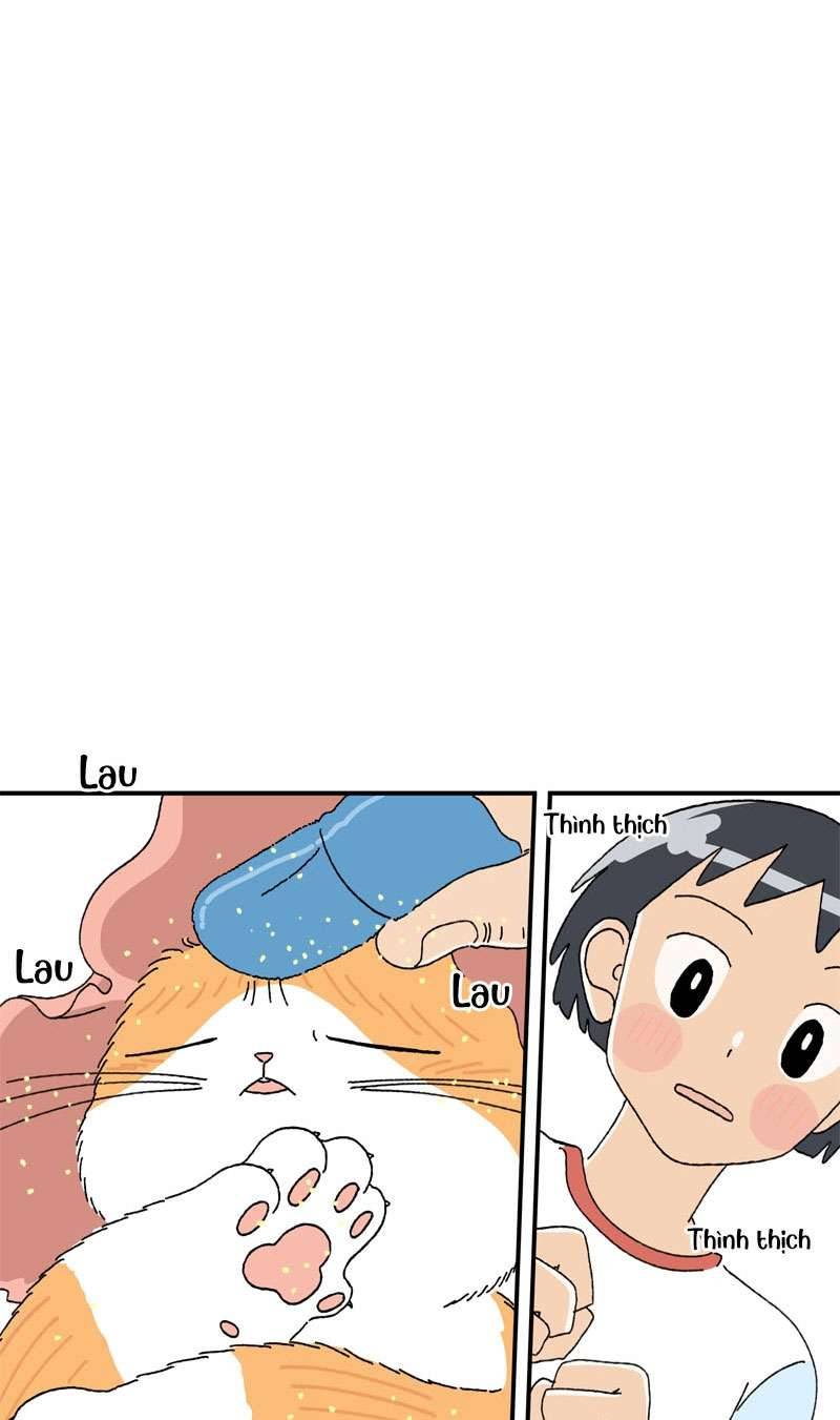 Chú Mèo Tata Chapter 2 - Trang 3