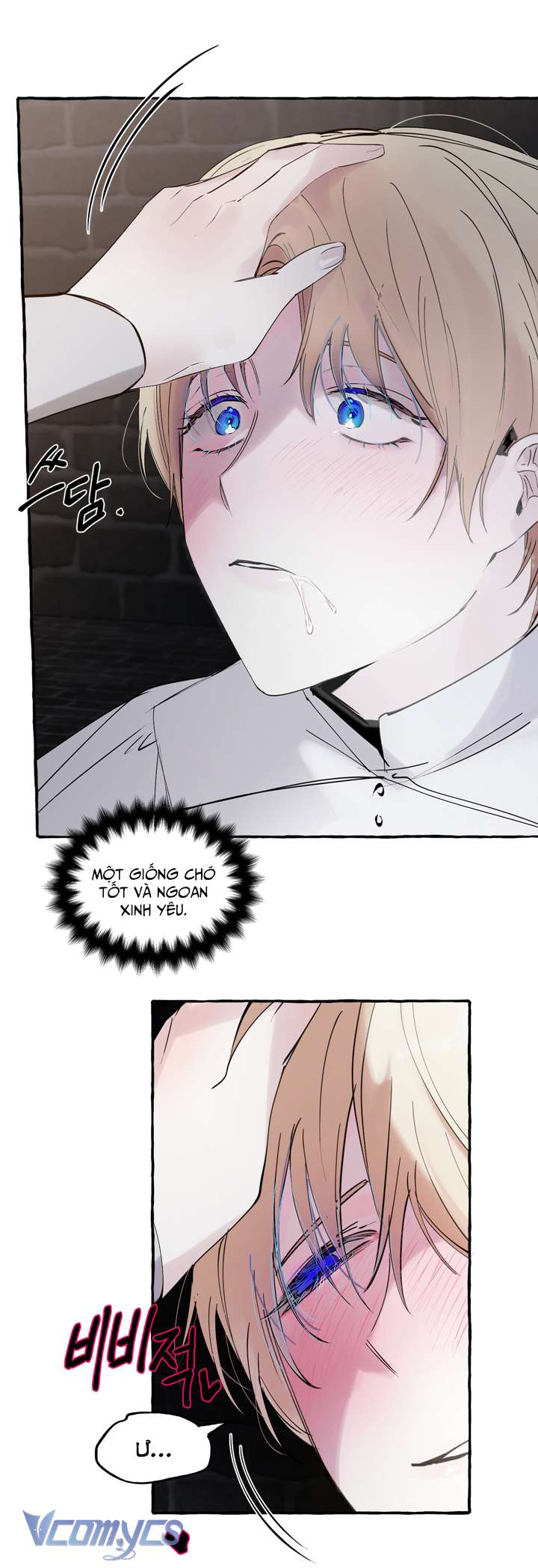 [18+] Hoàng Cung Có Chó Dữ! Chap 19 - Trang 2