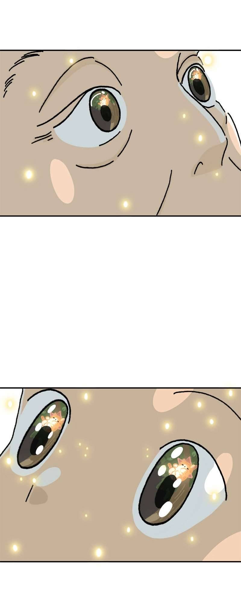 Chú Mèo Tata Chapter 1 - Trang 3