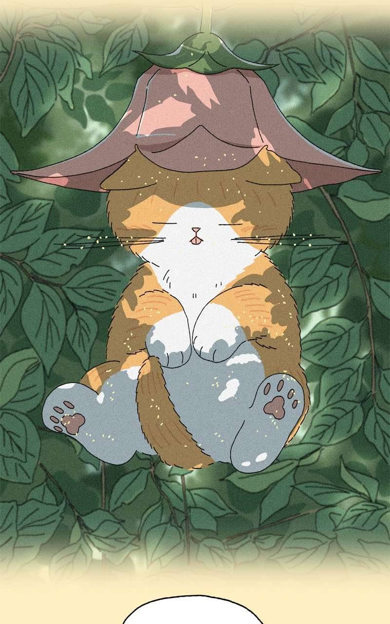 Chú Mèo Tata Chapter 2 - Trang 3