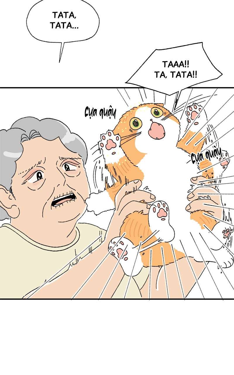 Chú Mèo Tata Chapter 3 - Trang 3