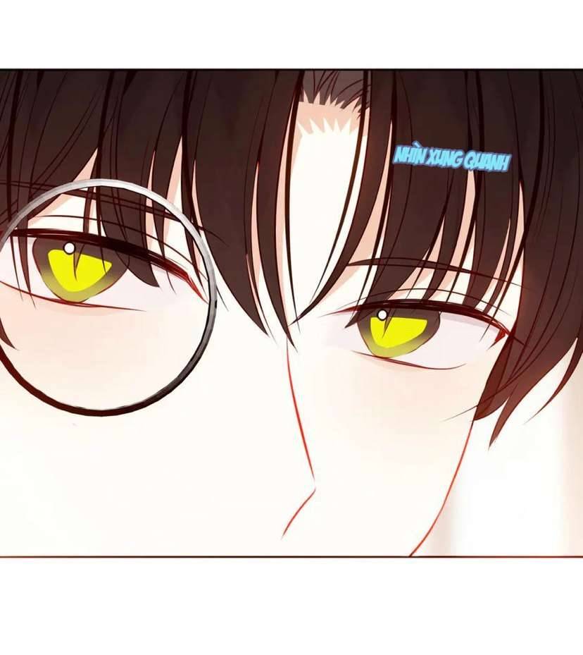 Quán Kịch Bản Trần Mộng Chapter 71 - Trang 3