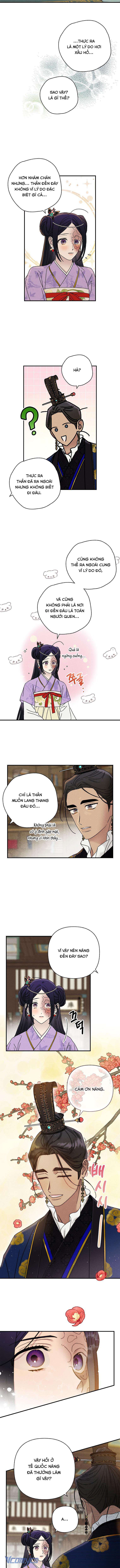 Quốc Hôn Chapter 30 - Trang 4