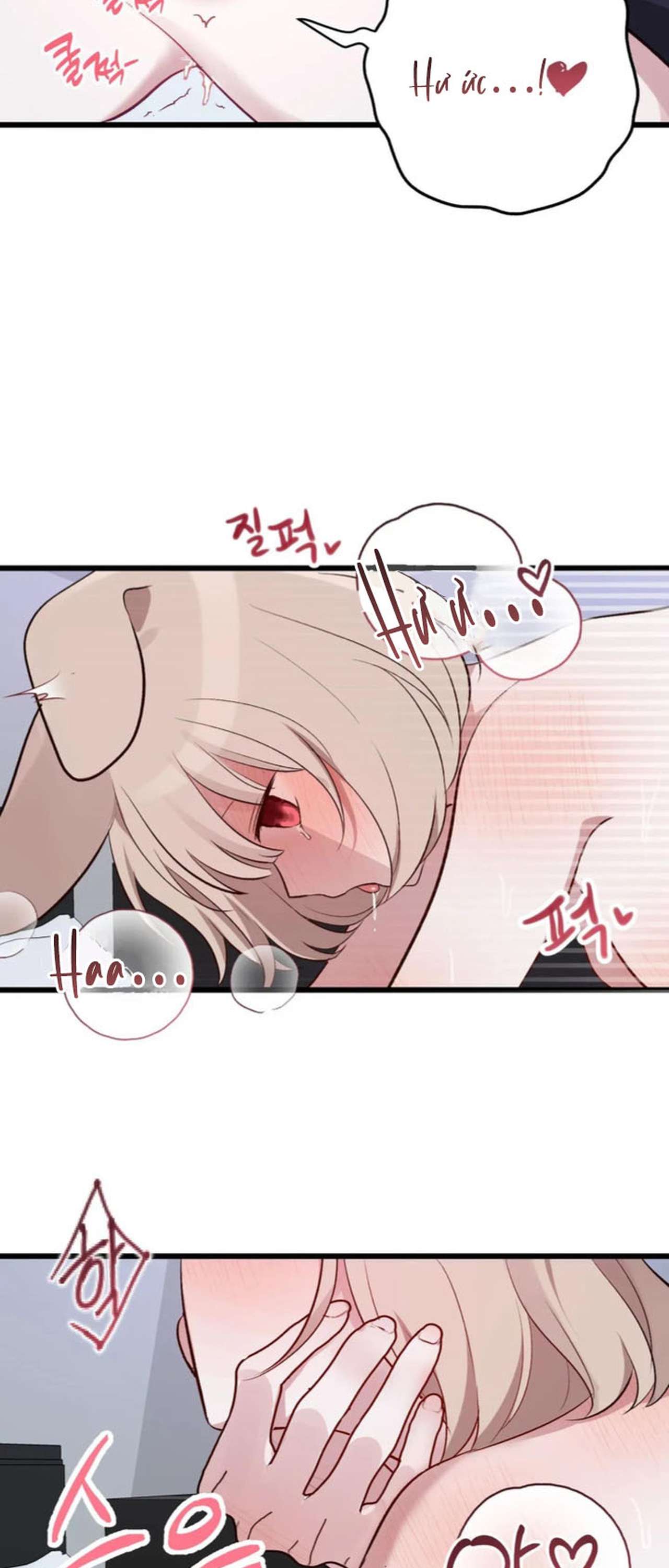 [ 18+ ] Rắn và thỏ có thể kết hôn không? Chap 4 - Trang 2