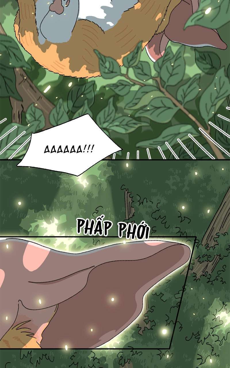 Chú Mèo Tata Chapter 2 - Trang 3
