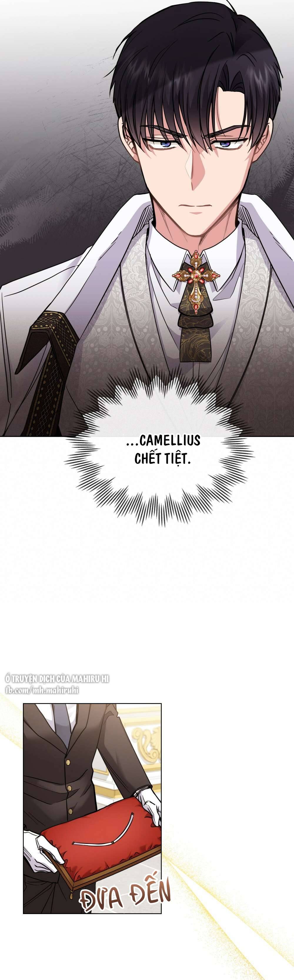 Tìm Lại Camellia Chapter 40 - Trang 4