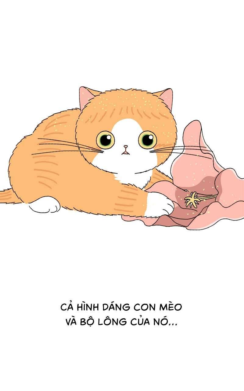 Chú Mèo Tata Chapter 3 - Trang 3