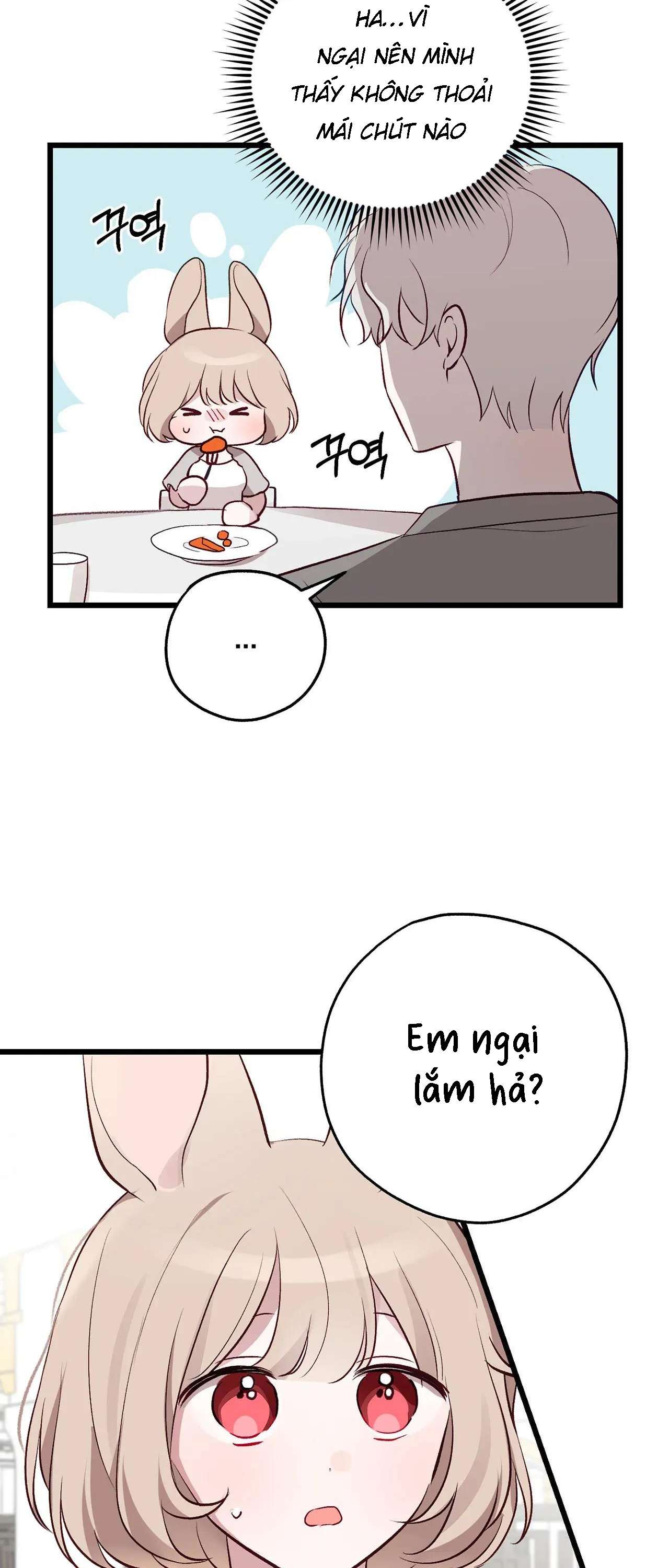 [ 18+ ] Rắn và thỏ có thể kết hôn không? Chap 1 - Next Chap 2