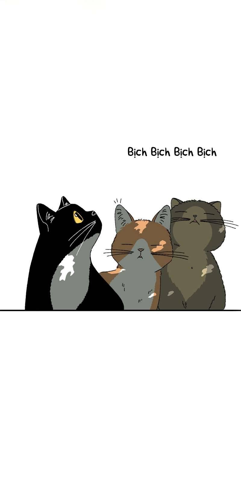 Chú Mèo Tata Chapter 1 - Trang 3